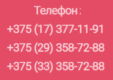 из Минска в Геленджик на автобусе